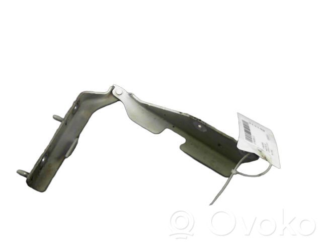 Citroen C3 Cerniere del vano motore/cofano 