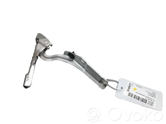 Citroen C3 Picasso Engine bonnet/hood hinges 
