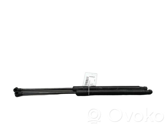 Audi A4 S4 B7 8E 8H Tailgate/trunk strut/damper 