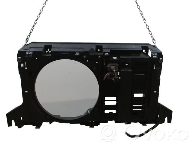 Citroen C5 Radiatoru panelis 