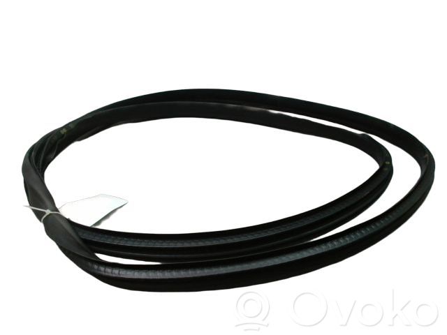 Renault Megane E-Tech Front door rubber seal 