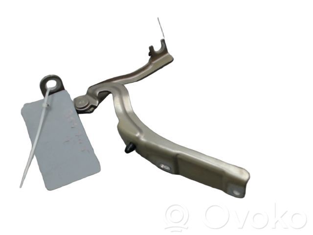 Citroen C3 Picasso Engine bonnet/hood hinges 