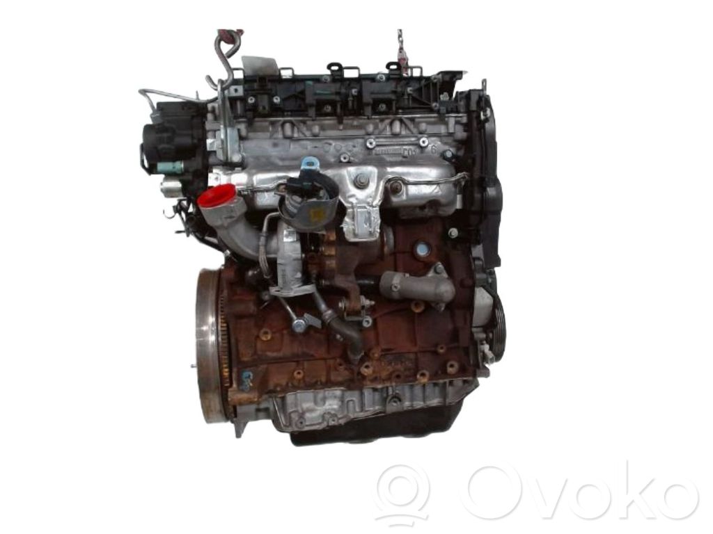 Variklis   0135QP,0135QP,RH02
