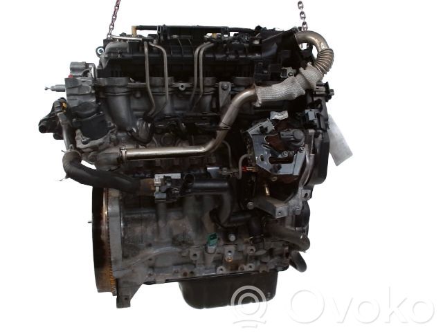 Citroen Berlingo Motor 