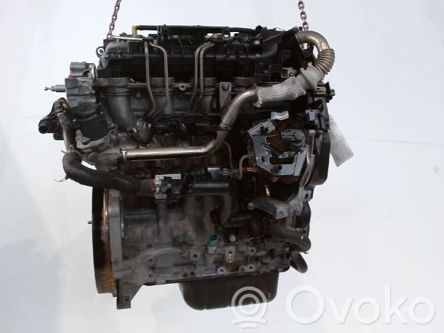 Citroen Berlingo Motore 