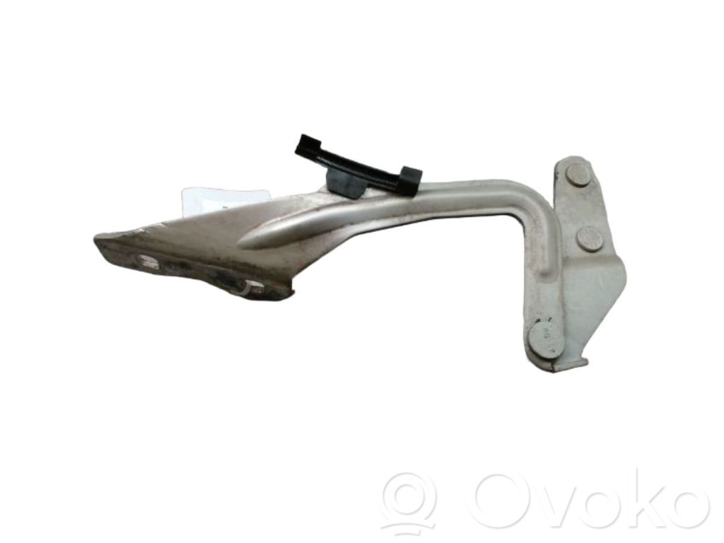 Ford Focus Cerniere del vano motore/cofano