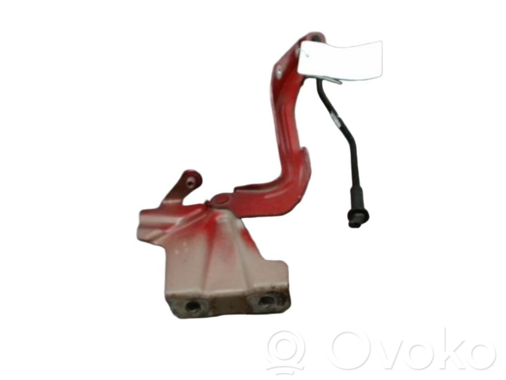Nissan Note (E12) Cerniere del vano motore/cofano