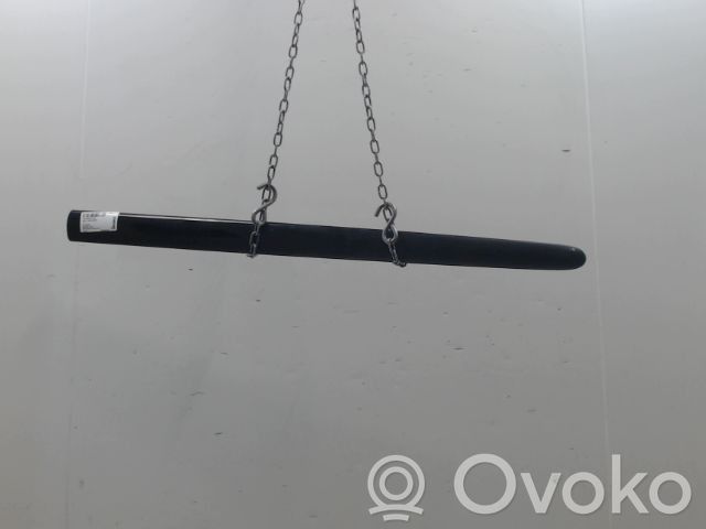 Peugeot 206+ Listón embellecedor de la puerta delantera (moldura) 