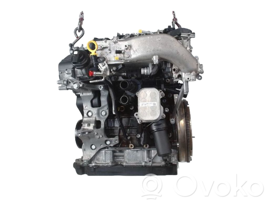 Volkswagen Golf VIII Motore