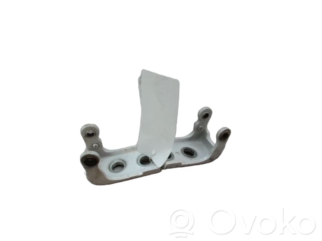 Citroen Berlingo Front door check strap stopper 