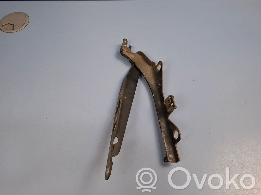 Volvo S60 Engine bonnet/hood hinges 