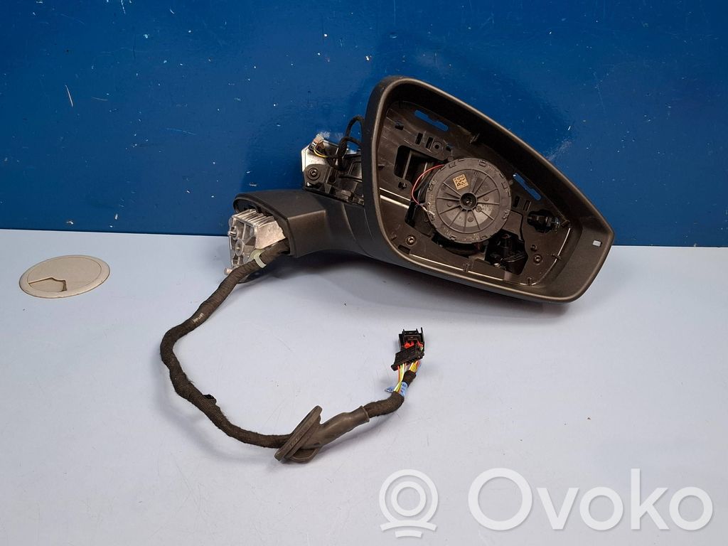Volkswagen Tiguan Elektryczne lusterko boczne drzwi przednich 