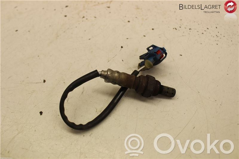 Lambda probe sensor   55566648