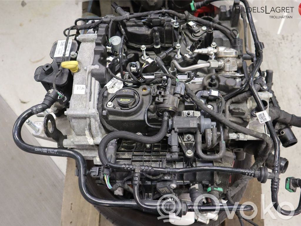 Engine   2462618