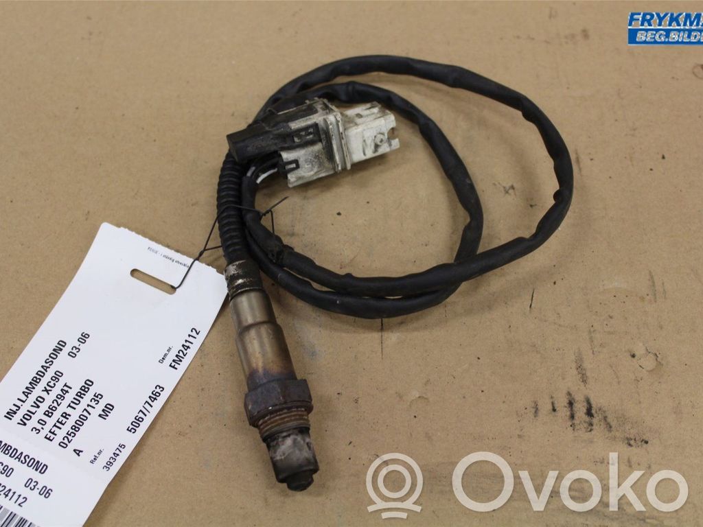 Sonda lambda   8670279,0258007135