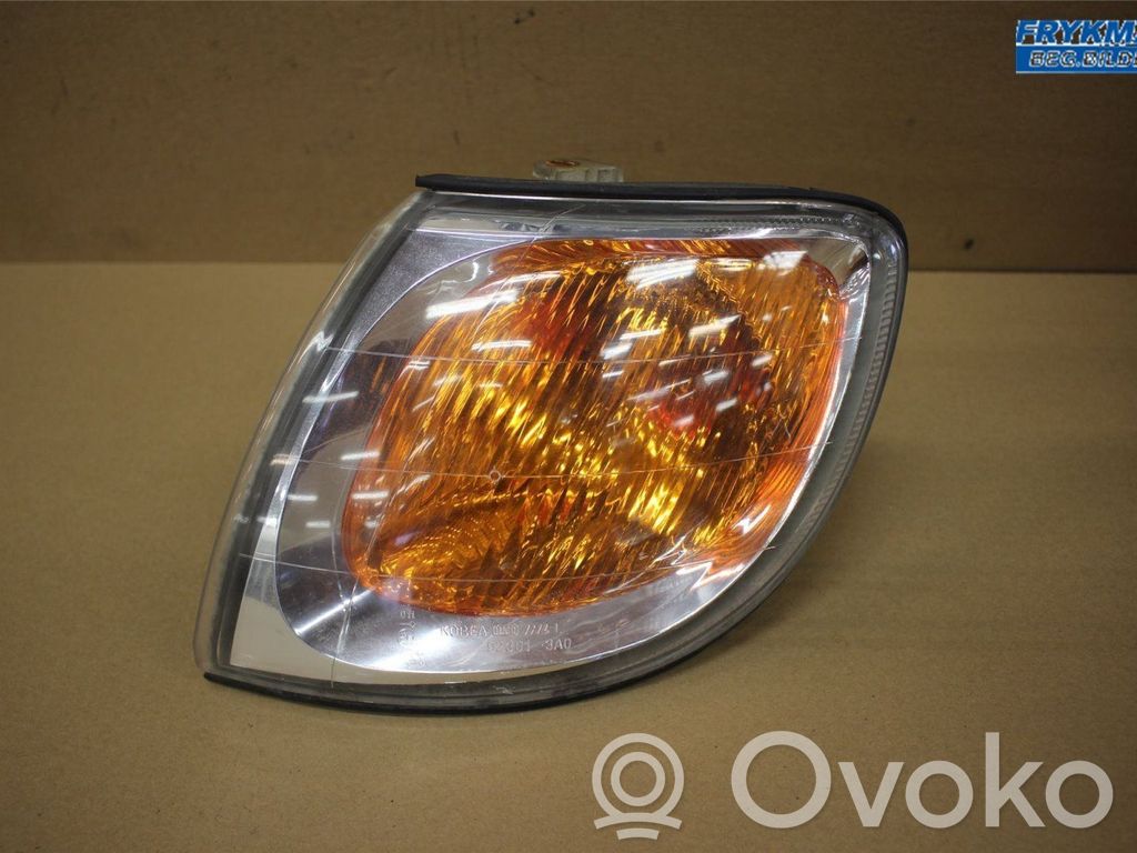 Frontblinker   923013A010