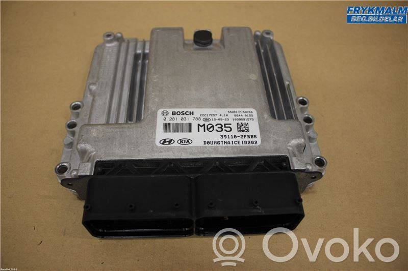 Injection control unit/module   391102FBB5,0281031788