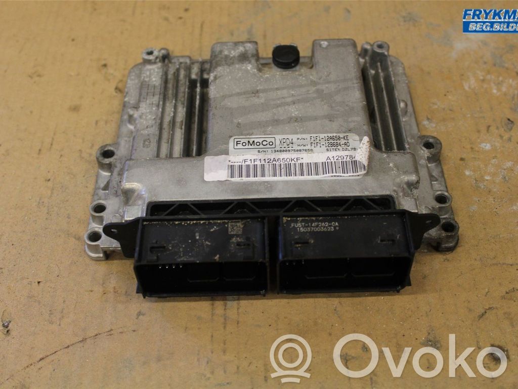 Injection control unit/module   2059208,F1F112A650KF