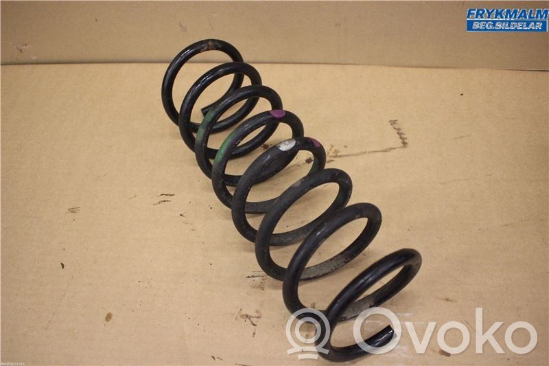 Rear coil spring   1909437