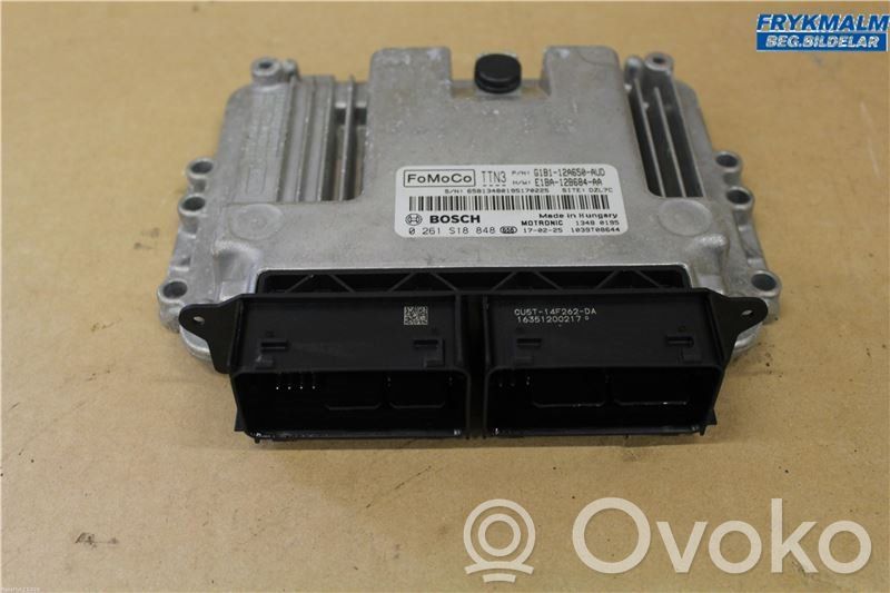 Ford Fiesta Injection control unit/module 