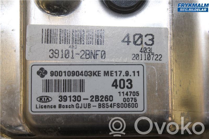Injection control unit/module   391302B260