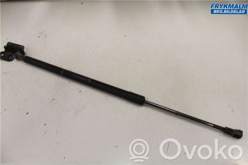 Tailgate strut   31297524