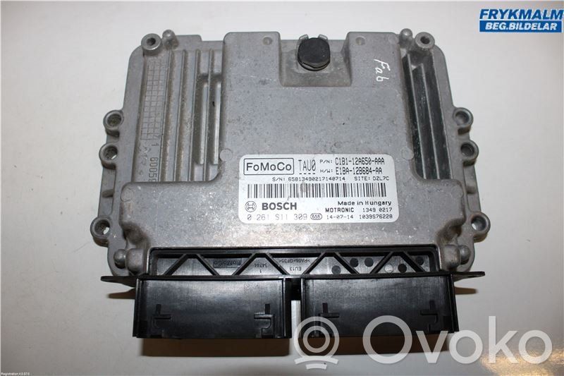 Ford Fiesta Injection control unit/module 