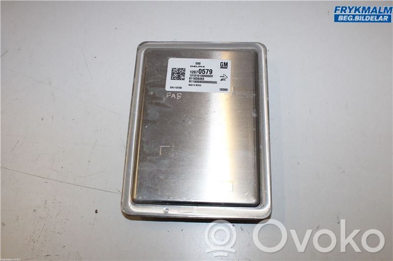Injection control unit/module   12672502,12670579,12670579