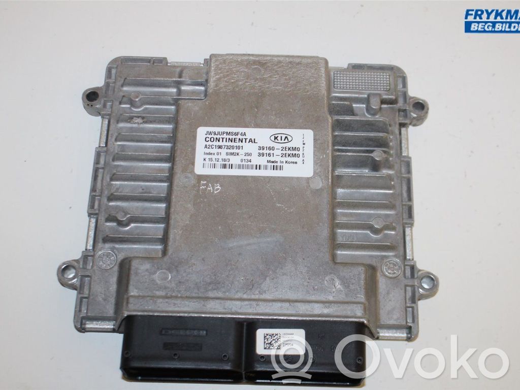 Injection control unit/module   391612EKM0,391602EKM0,391602EKM0