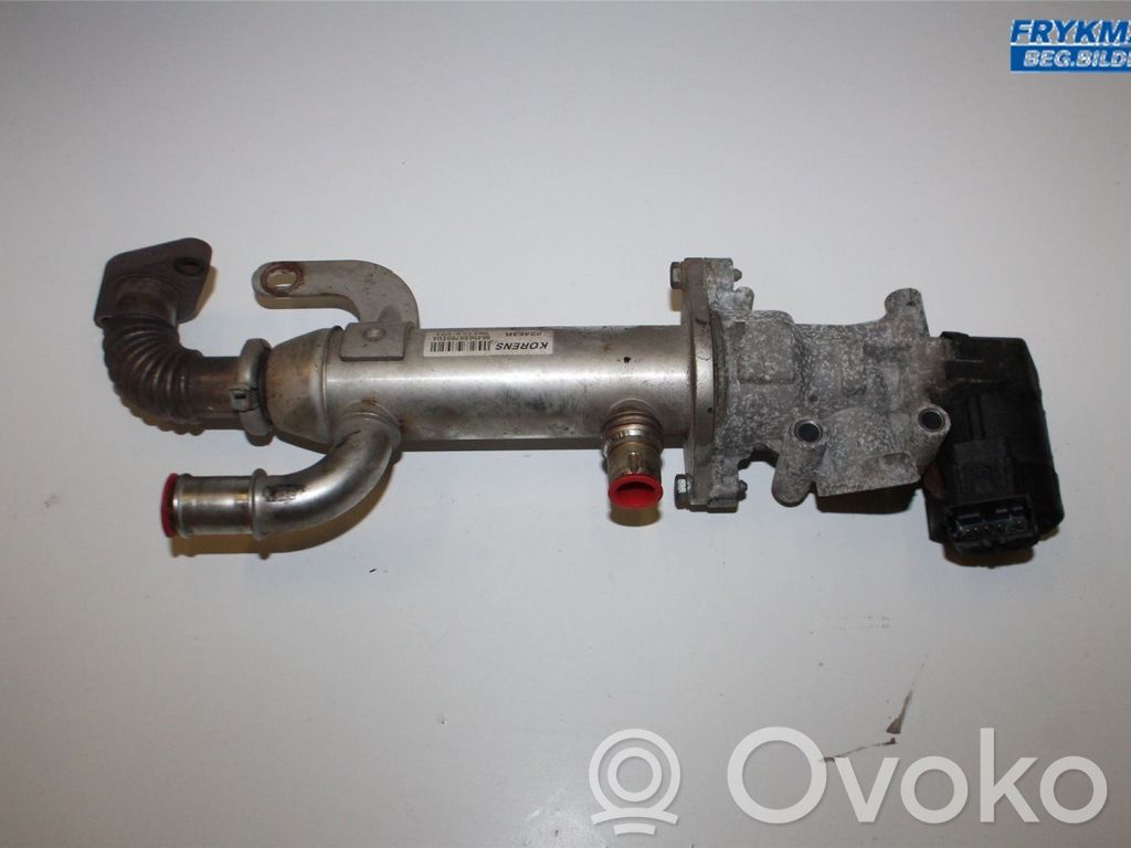 Citroen C5 EGR dzesētājs 