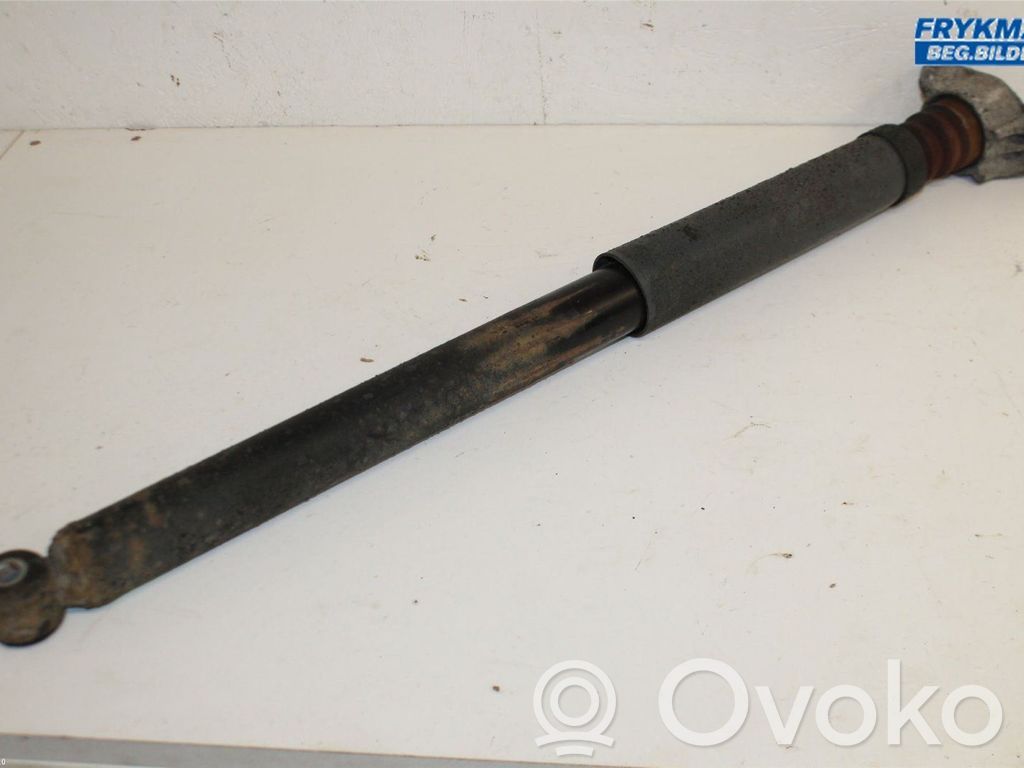 Stoßdämpfer hinten   1919324