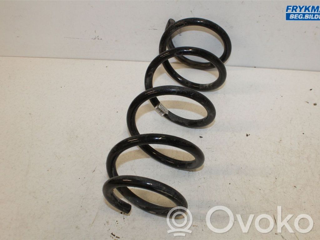 Rear coil spring   2482818