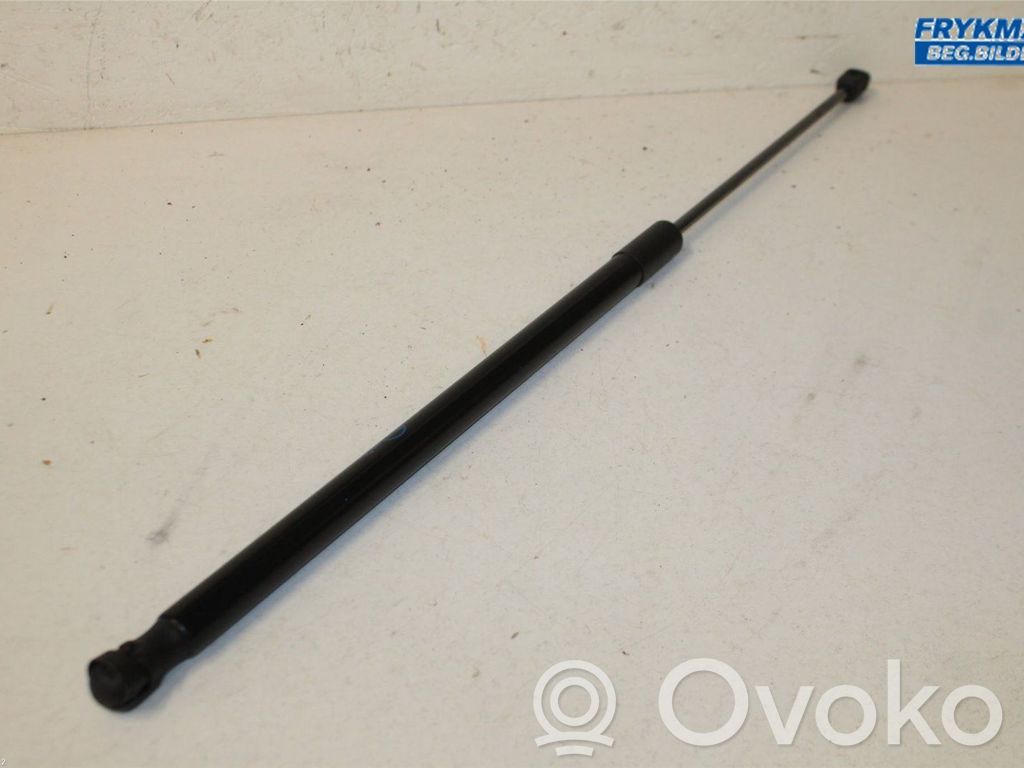 Tailgate strut   2440270