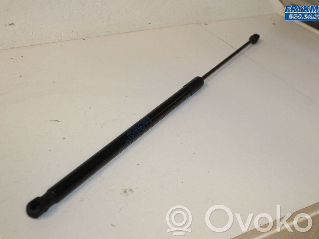 Ford Puma Tailgate strut 