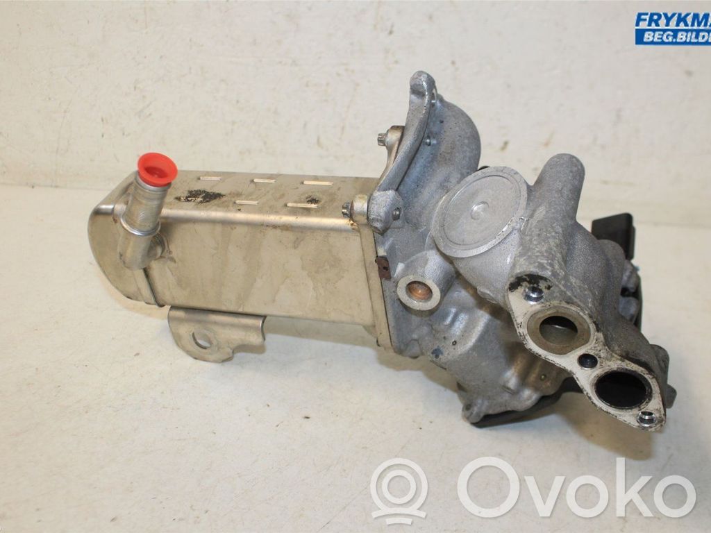 Válvula EGR   1855876