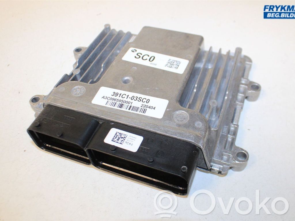 Injection control unit/module   391C303SC0,391C303SC0,391C303SC0
