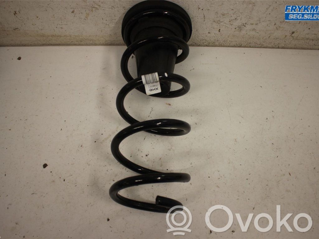 Ford Focus Rear coil spring 