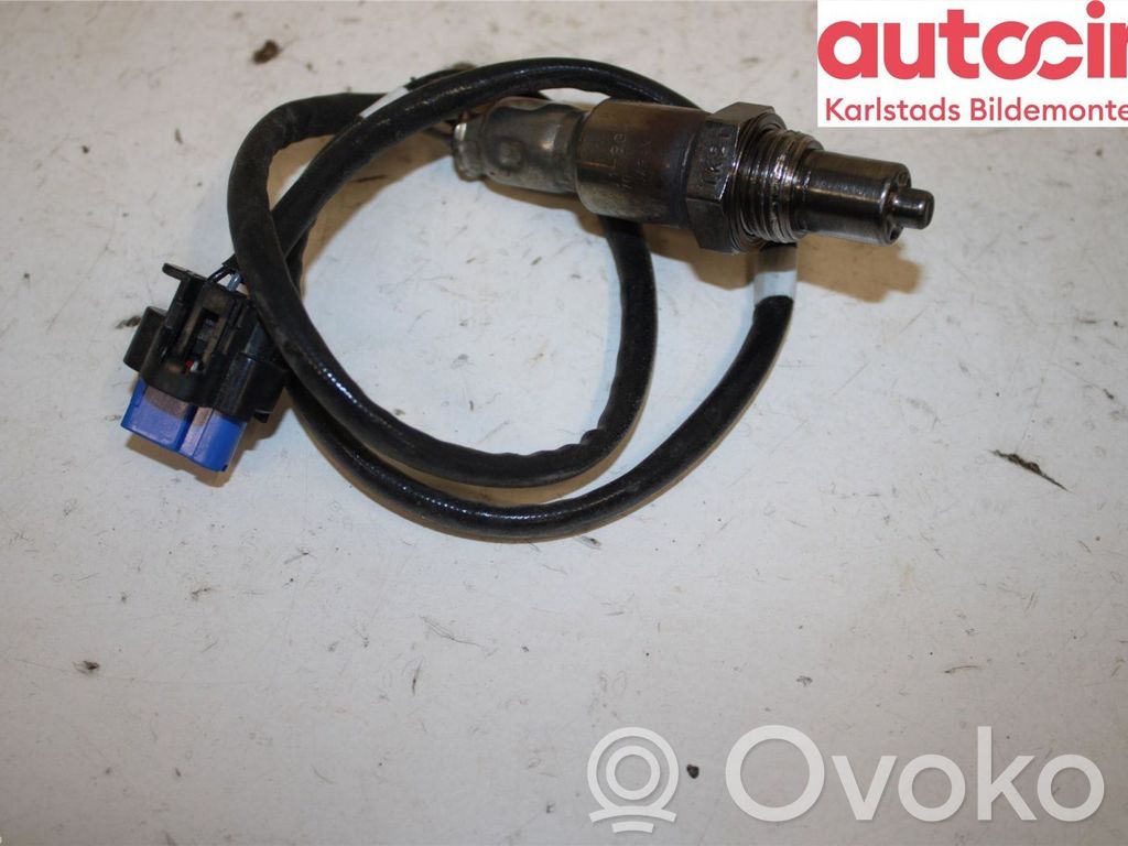 Lambda probe sensor   2432225,LX619G444BB,LX619G444BB