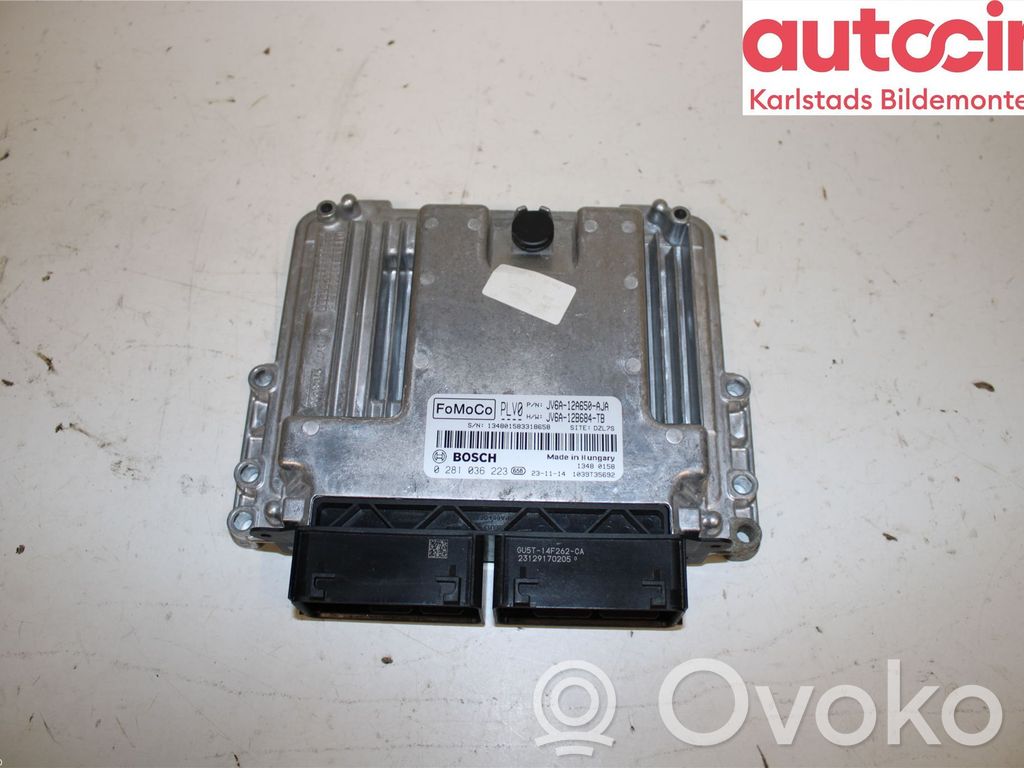 Injection control unit/module   2313997,00281036223,JV6A12A650AJA