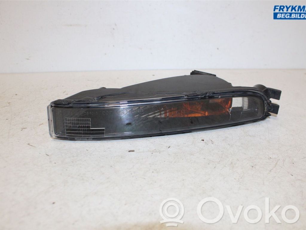 Volkswagen Beetle A5 Frontblinker 