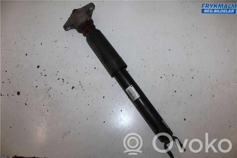 Stoßdämpfer hinten   55300A6460