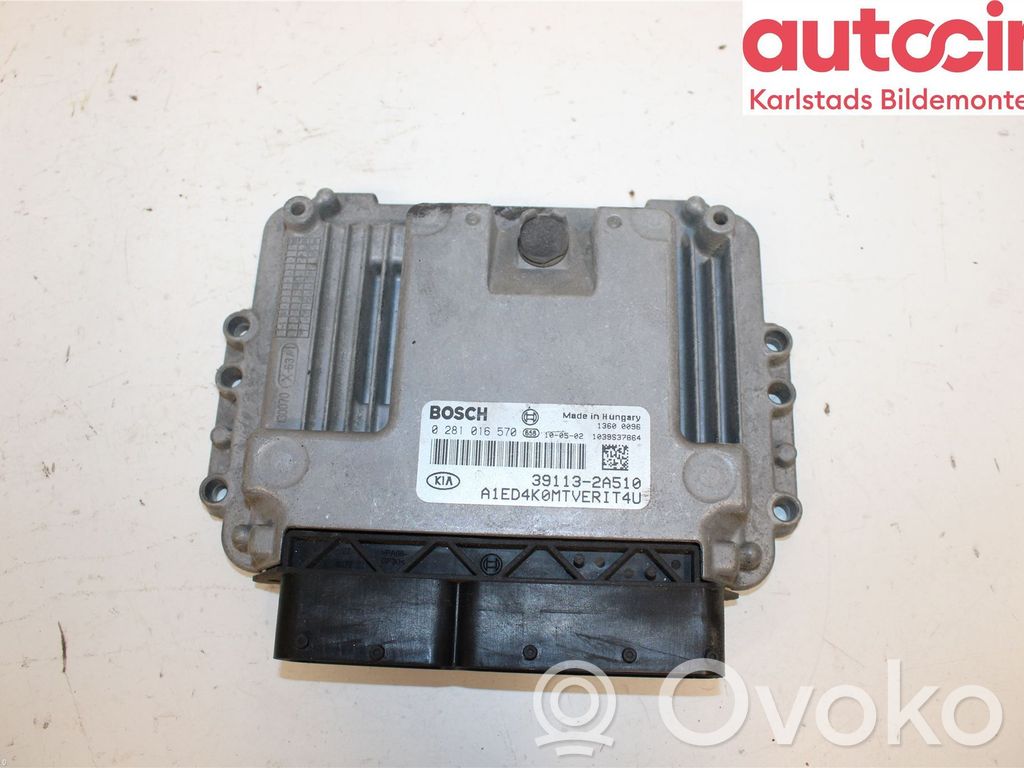 Unidad de control/módulo de la inyección   391132A510,0281016570,391132A510