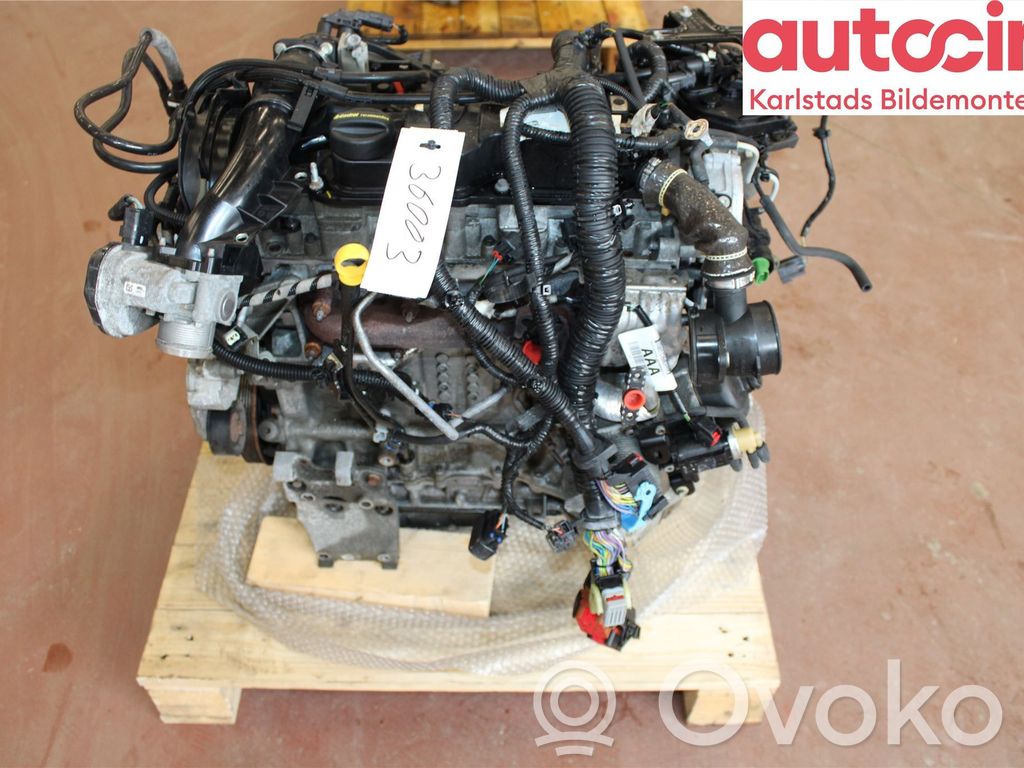 Variklis   1733055