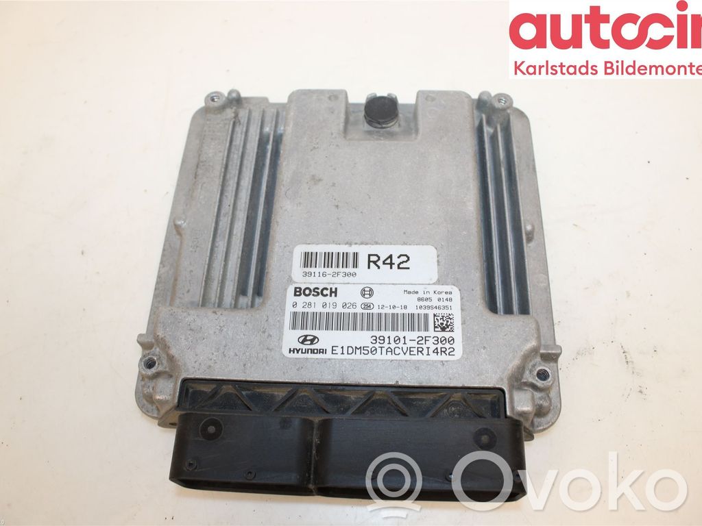 Hyundai Santa Fe Unitate/modul comandă injecție 