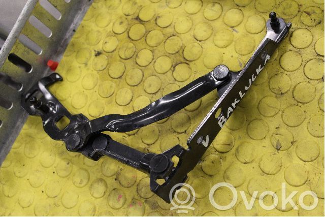 Chevrolet Corvette Tailgate/trunk/boot hinge 