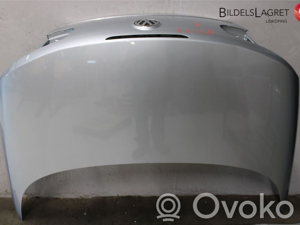 Volkswagen Eos Puerta del maletero/compartimento de carga 