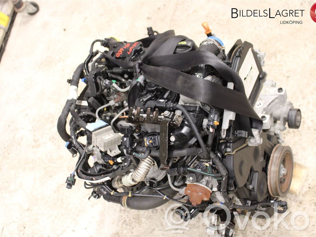 Motor   0135SW