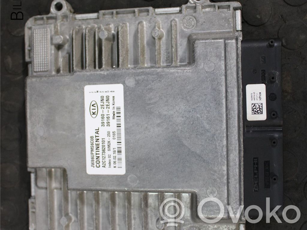 Unidad de control/módulo de la inyección   391602EJN0,A2C1273620101,391602EJN0