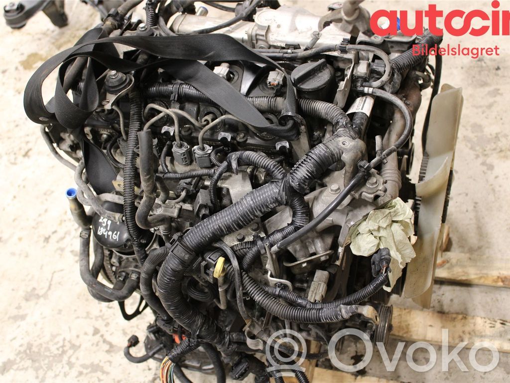 Nissan Navara D40 Motor 