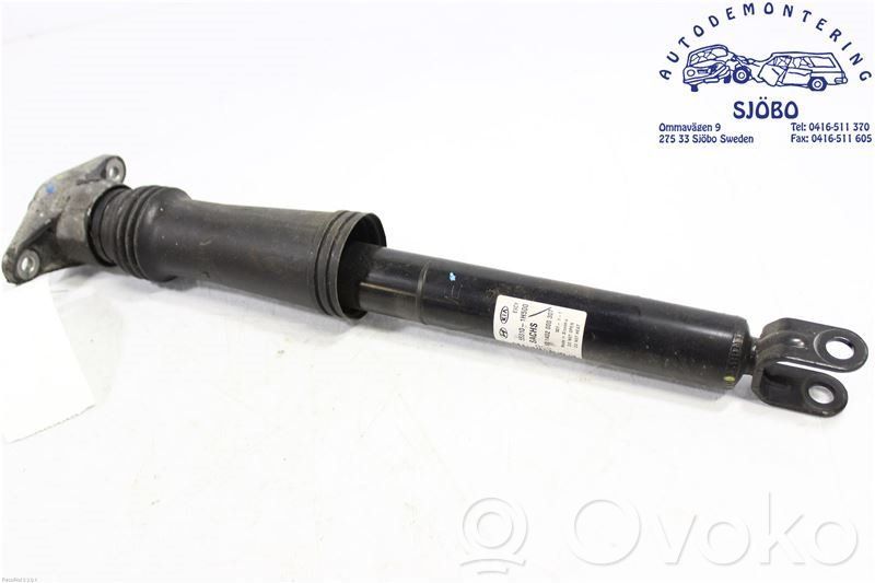 Stoßdämpfer hinten   801402000307